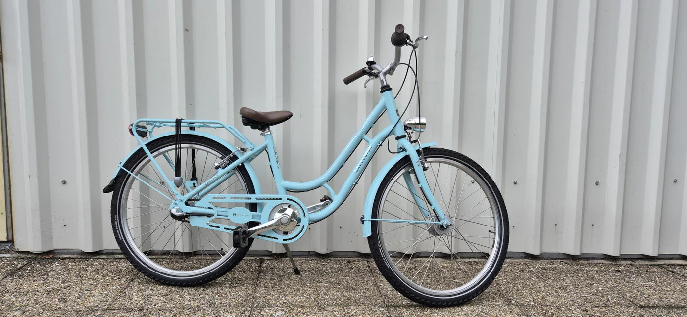 Excelsior Swan-Retro